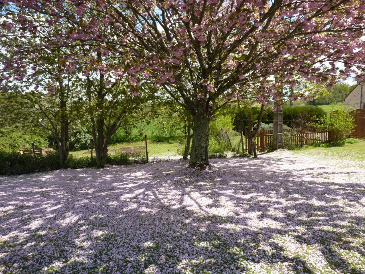 L'hirondelle D'hotes Bed & Breakfast