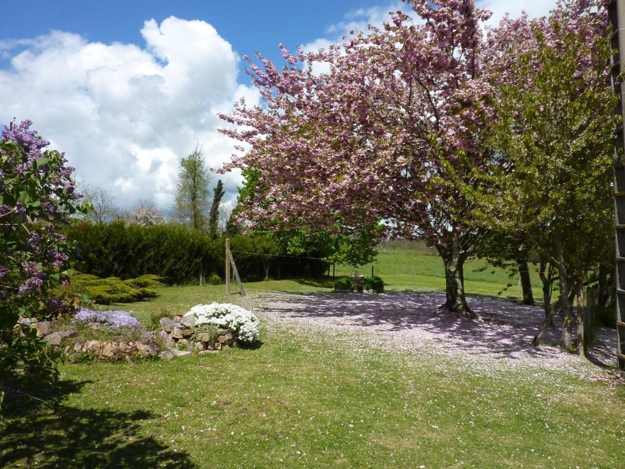 Bed & Breakfast L'hirondelle D'hotes